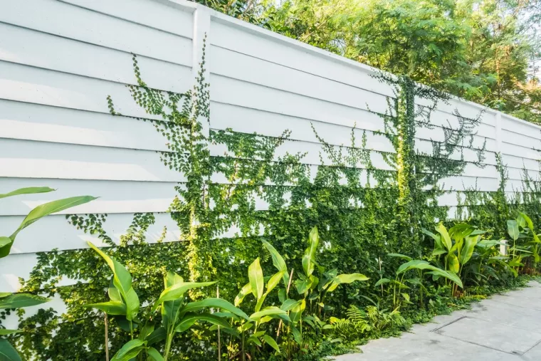 Quelles options pour préserver son intimité grâce à des clôtures de jardin ?, Dax, HP DESIGN